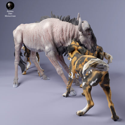 African Wild Dogs vs Wildebeest