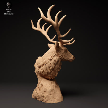 Red Deer Bust