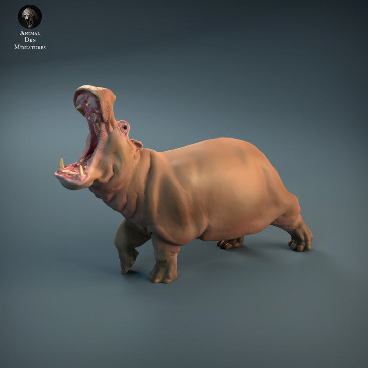Angry Hippo