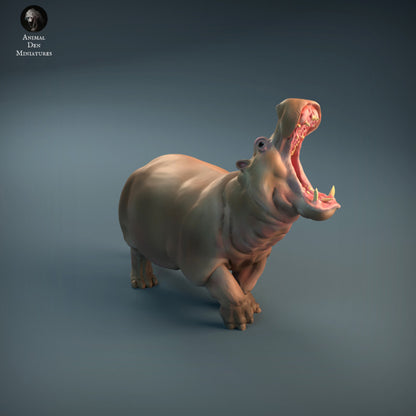 Angry Hippo