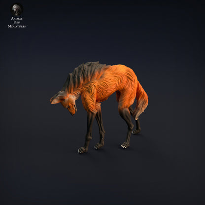 Maned Wolf