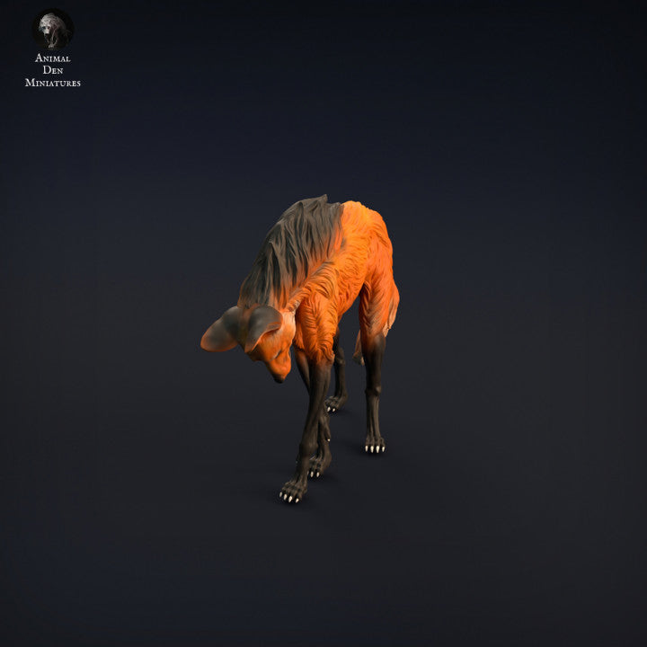Maned Wolf