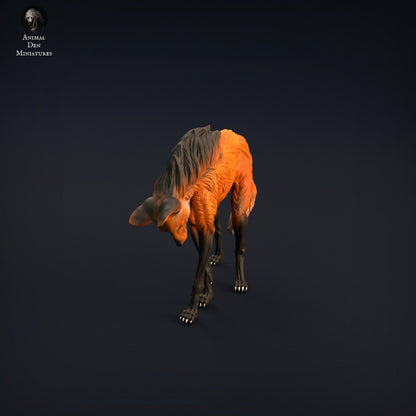Maned Wolf