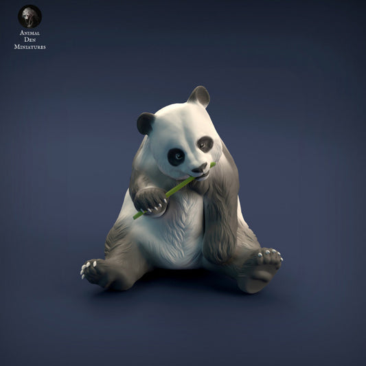 Giant Panda