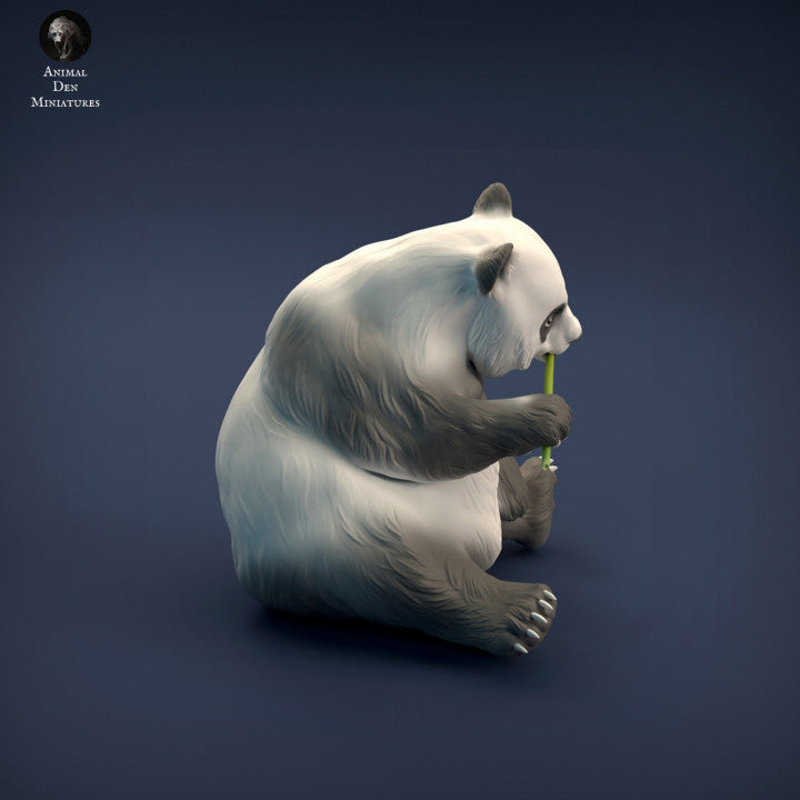 Giant Panda