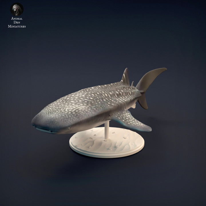 Whale Shark