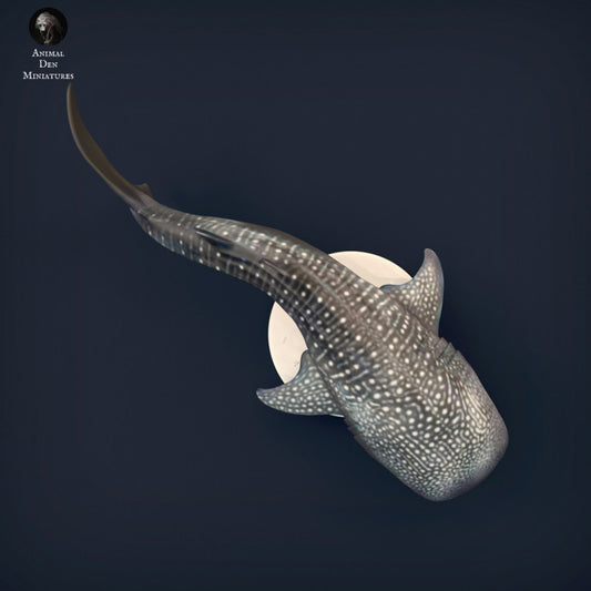 Whale Shark