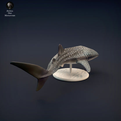 Whale Shark