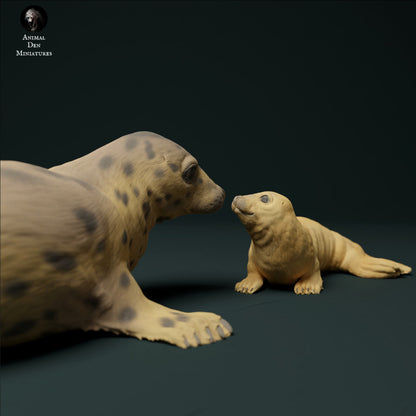 Grey Seal Female and Pup