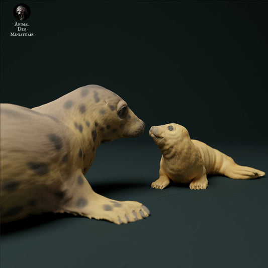 Grey Seal Female and Pup