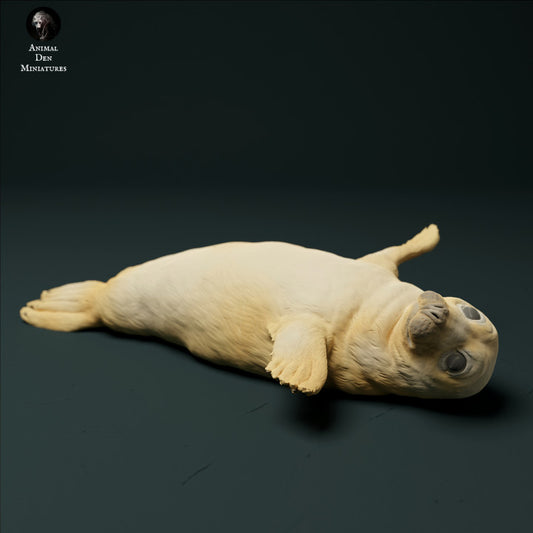 Grey Seal Pup