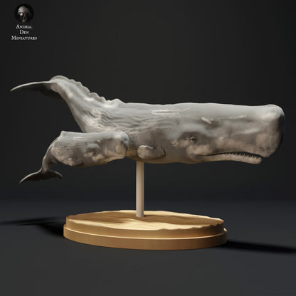 Sperm Whale and Calf