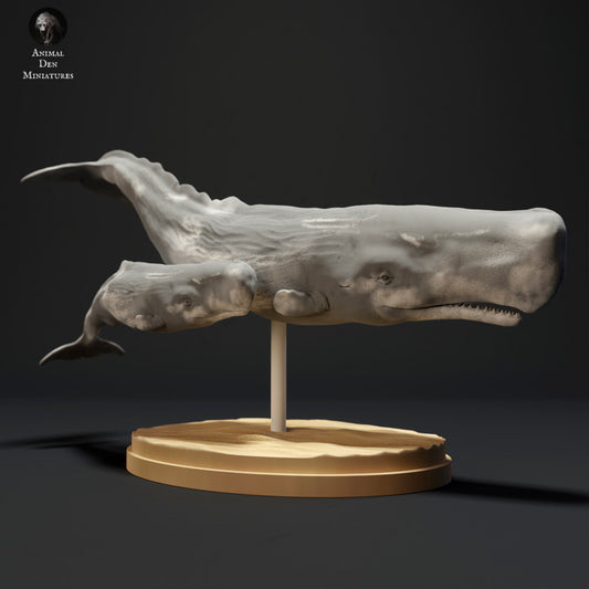 Sperm Whale and Calf