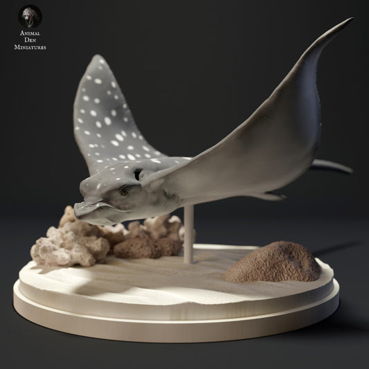 Spotted Eagle Ray