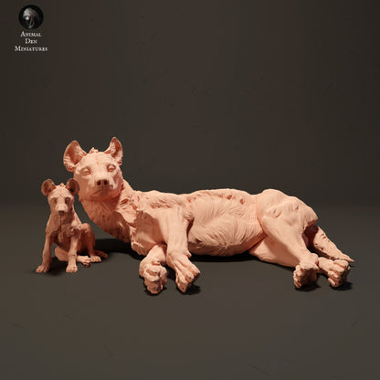 Spotted Hyena and Pup