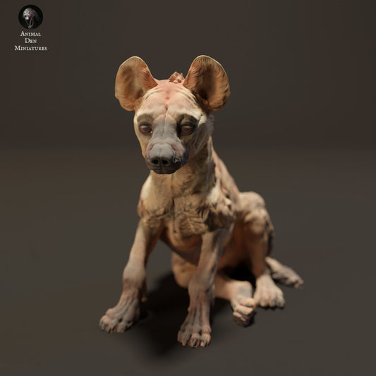 Spotted Hyena Pup