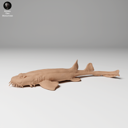 Spotted Wobbegong Shark