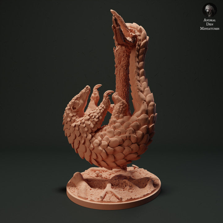 Sunda Pangolin Hanging