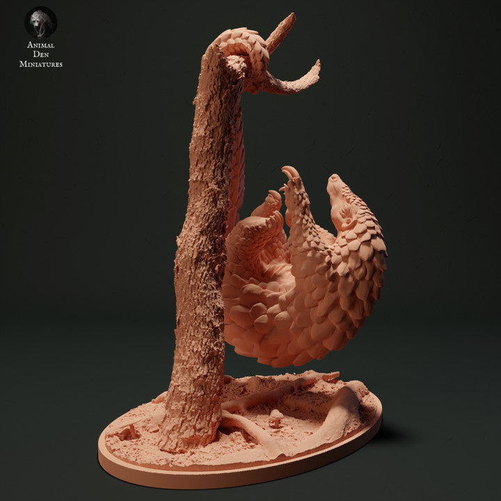 Sunda Pangolin Hanging
