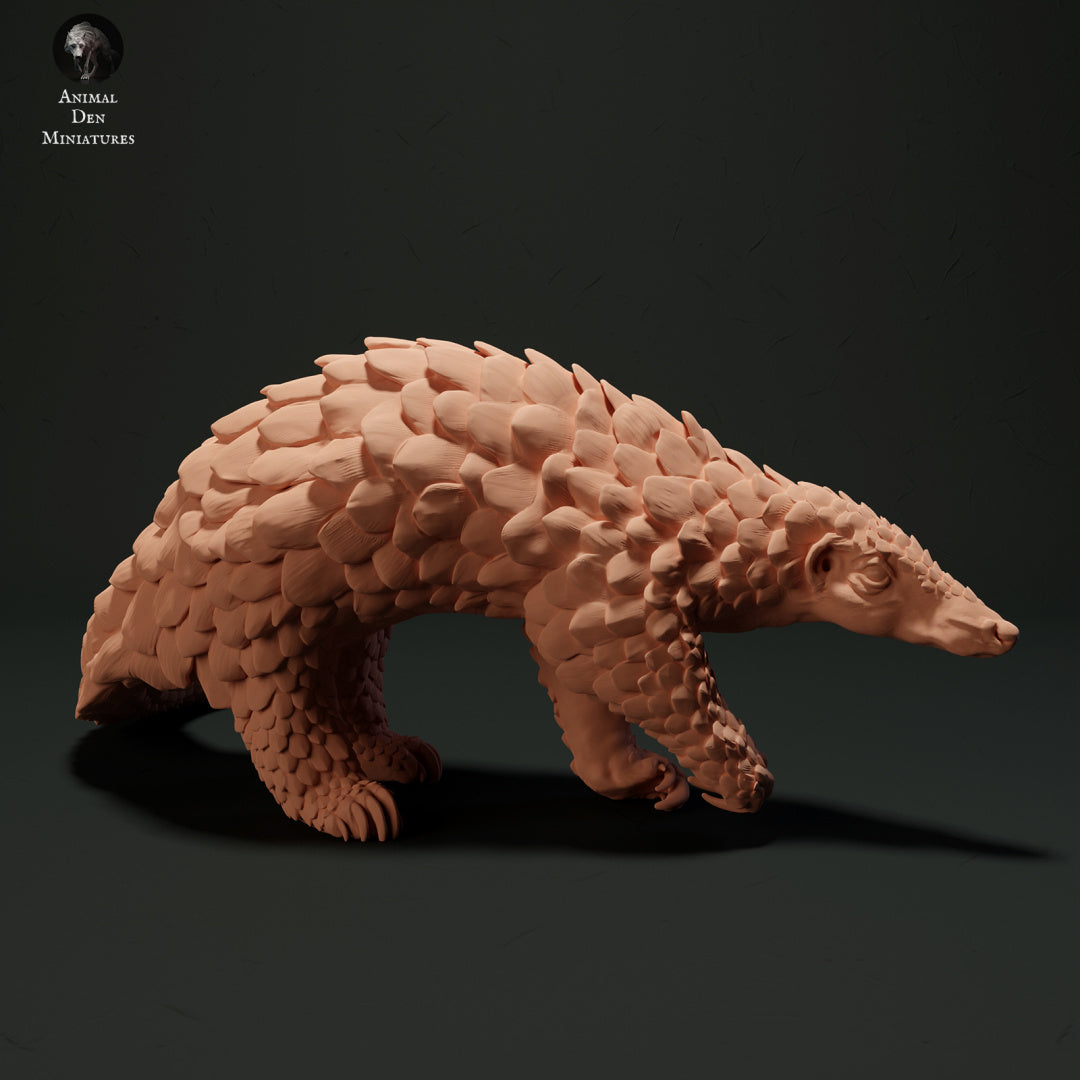 Sunda Pangolin