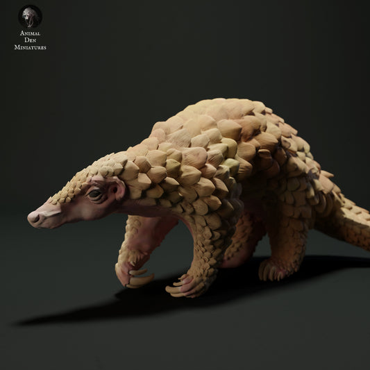 Sunda Pangolin